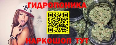 крисы Чебаркуль