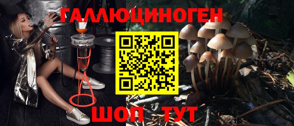 Псилоцибиновые грибы ЛСД Вязьма