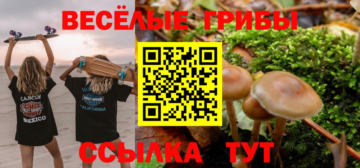 Вязьма  Псилоцибиновые грибы мицелий  Вход с VPN 